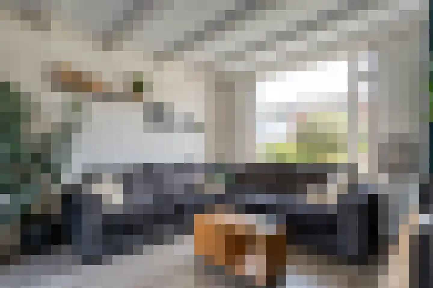 Pijnacker Hordijkstraat 15 Coevorden thumbnail 9
