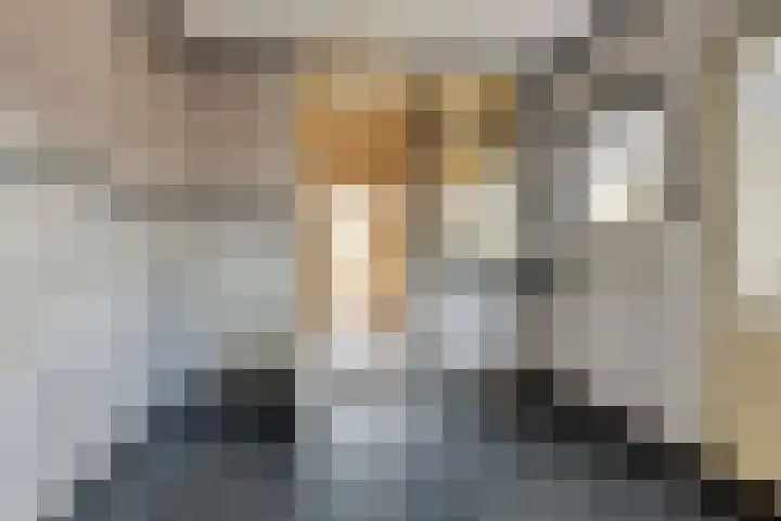 Pijnacker Hordijkstraat 17 Coevorden thumbnail 13