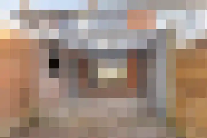 Pijnacker Hordijkstraat 17 Coevorden thumbnail 25