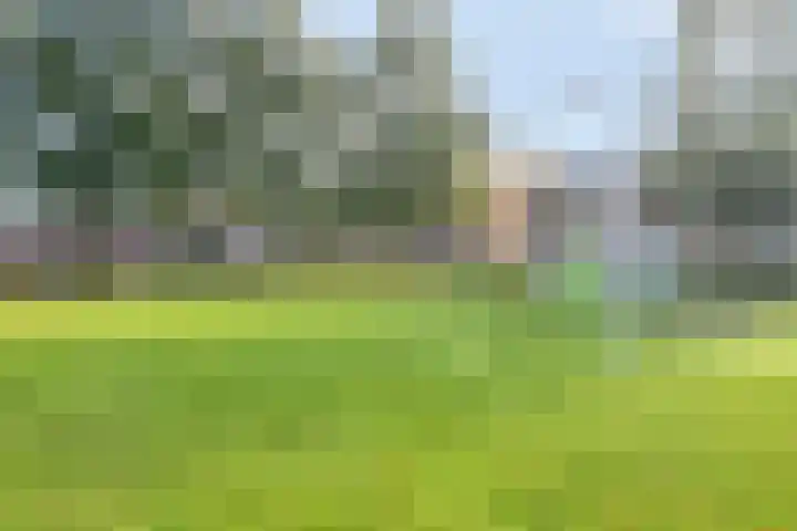 Pijnacker Hordijkstraat 17 Coevorden thumbnail 36