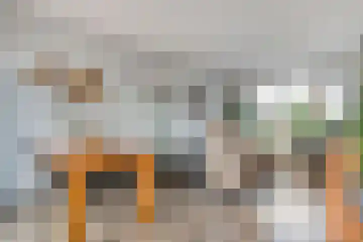 Pijnacker Hordijkstraat 2 Coevorden thumbnail 11