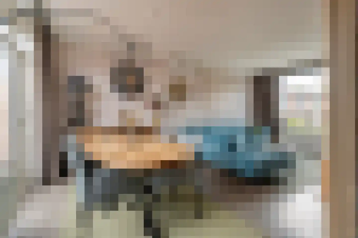Pijnacker Hordijkstraat 2 Coevorden thumbnail 11