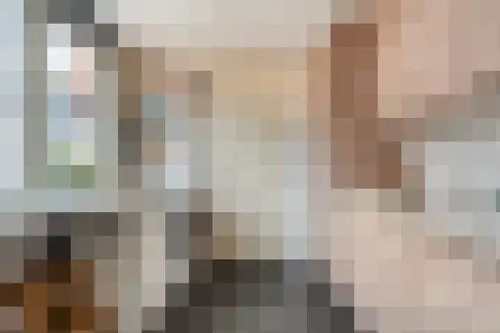 Pijnacker Hordijkstraat 2 Coevorden thumbnail 16