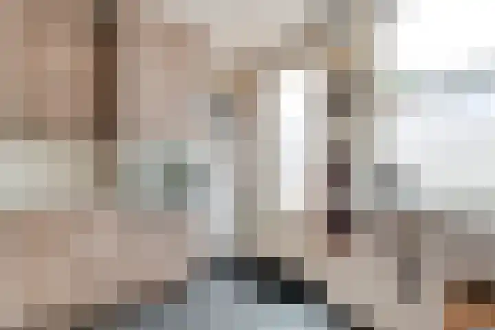 Pijnacker Hordijkstraat 2 Coevorden thumbnail 17