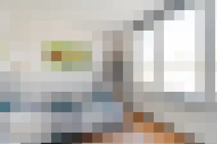 Pijnacker Hordijkstraat 2 Coevorden thumbnail 22