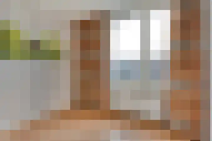 Pijnacker Hordijkstraat 2 Coevorden thumbnail 28