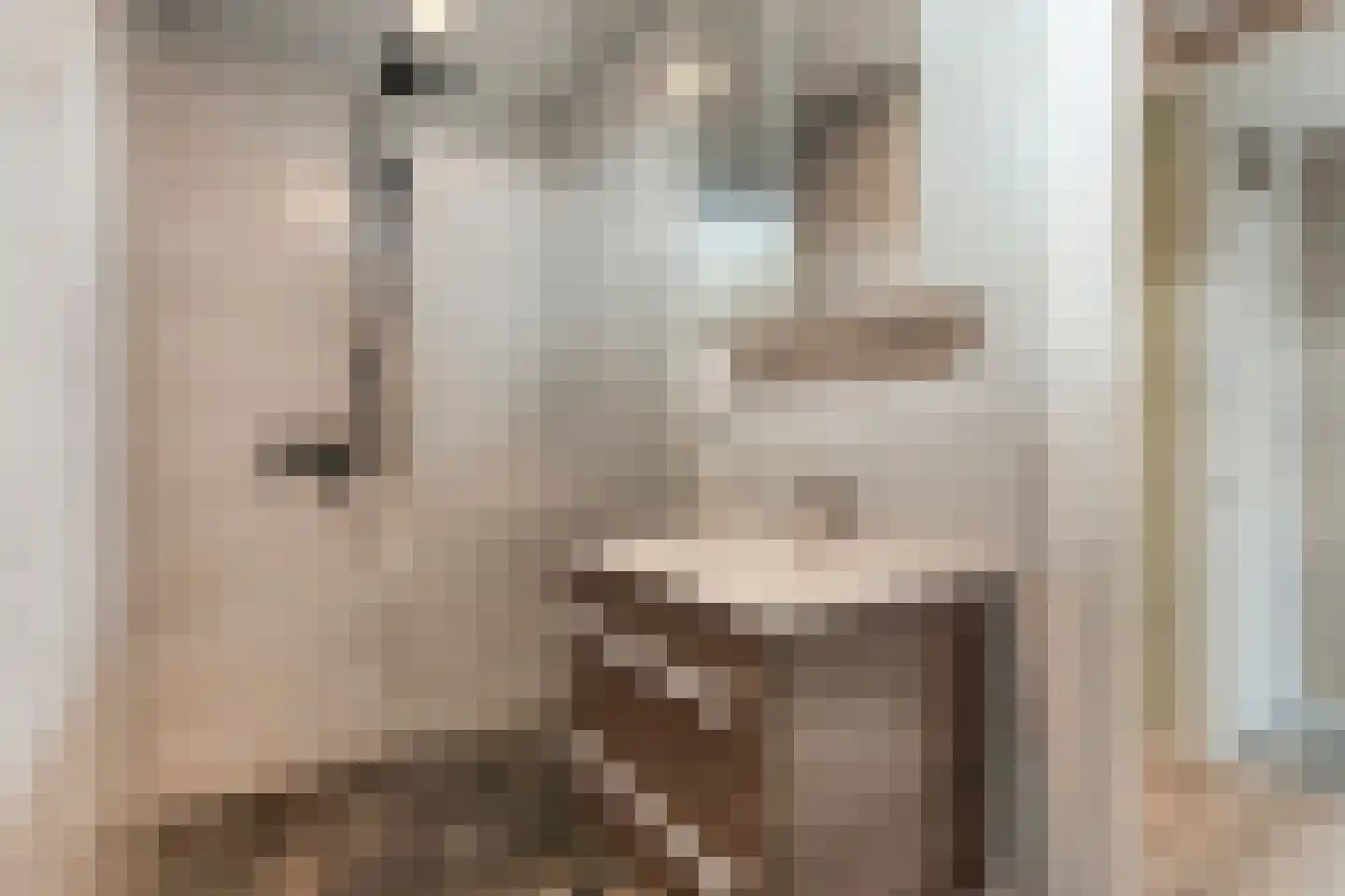Pijnacker Hordijkstraat 2 Coevorden thumbnail 30