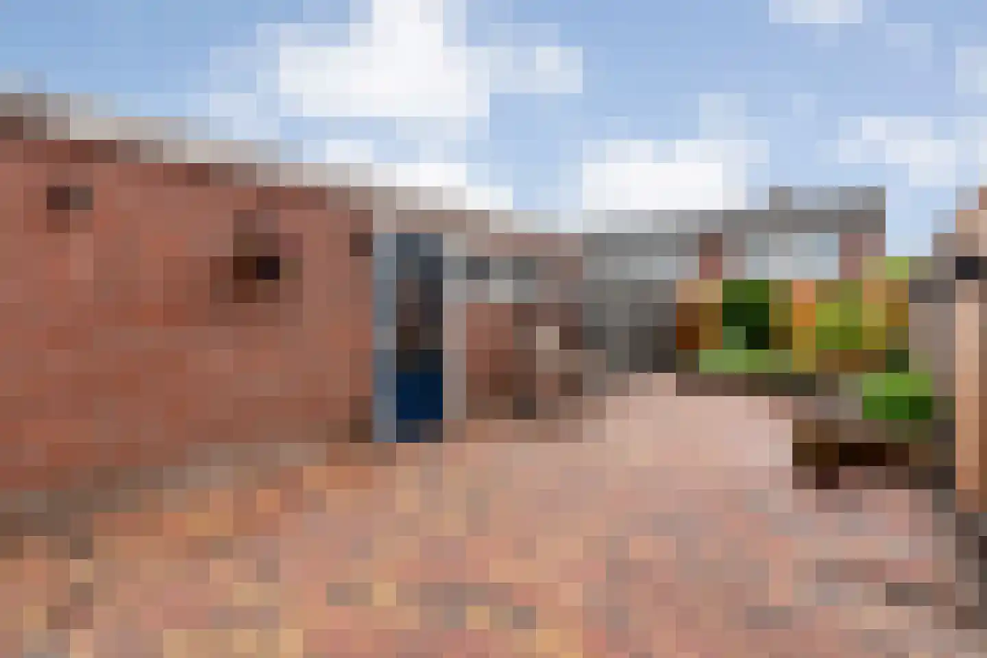 Pijnacker Hordijkstraat 2 Coevorden thumbnail 34