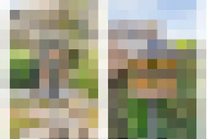 Pijnacker Hordijkstraat 2 Coevorden thumbnail 35