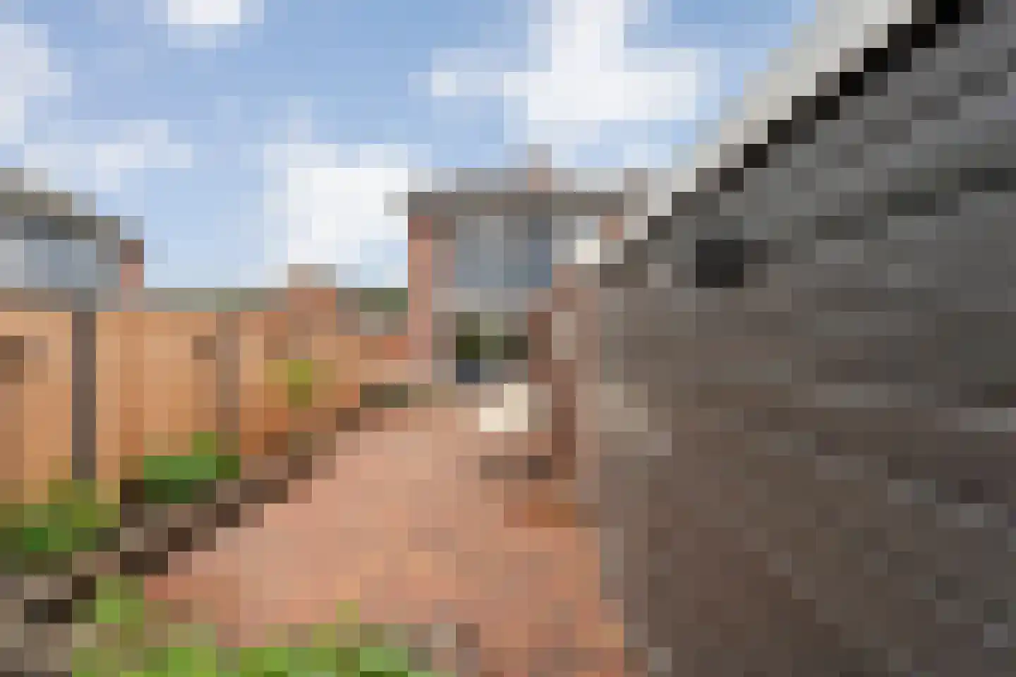 Pijnacker Hordijkstraat 2 Coevorden thumbnail 36
