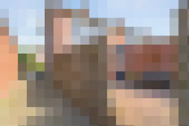 Pijnacker Hordijkstraat 2 Coevorden thumbnail 37