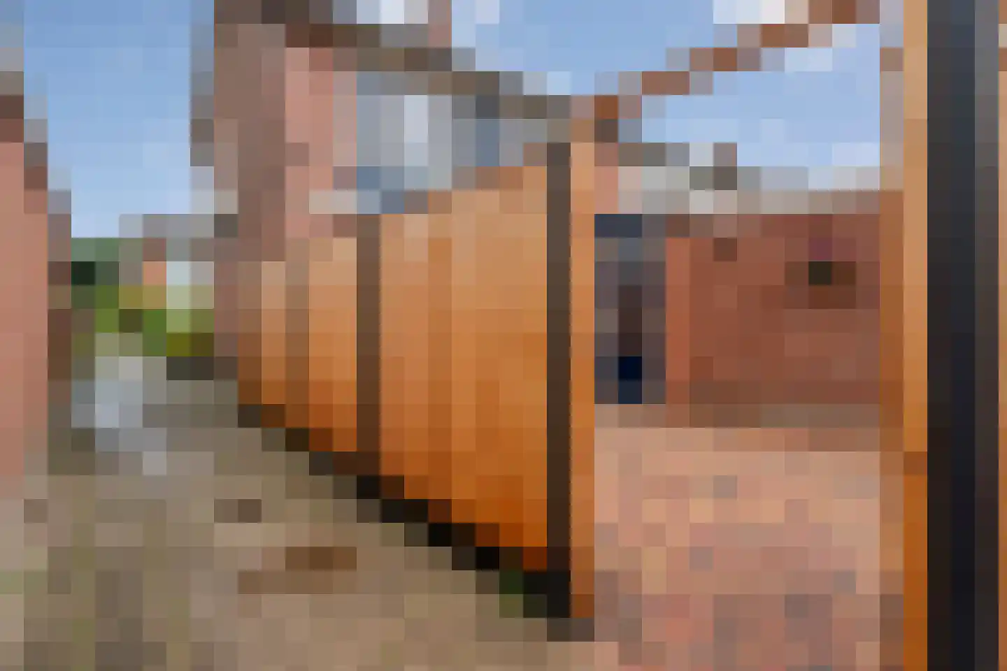 Pijnacker Hordijkstraat 2 Coevorden thumbnail 39