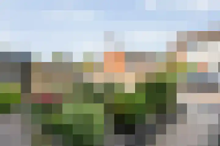 Pijnacker Hordijkstraat 2 Coevorden thumbnail 5