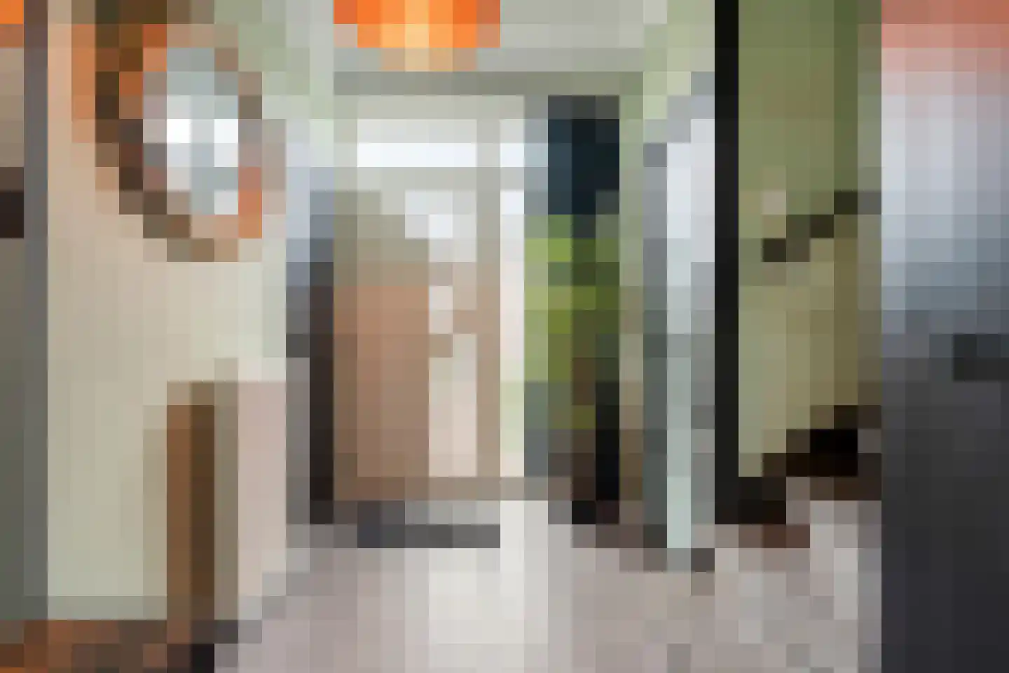 Pijnacker Hordijkstraat 2 Coevorden thumbnail 6