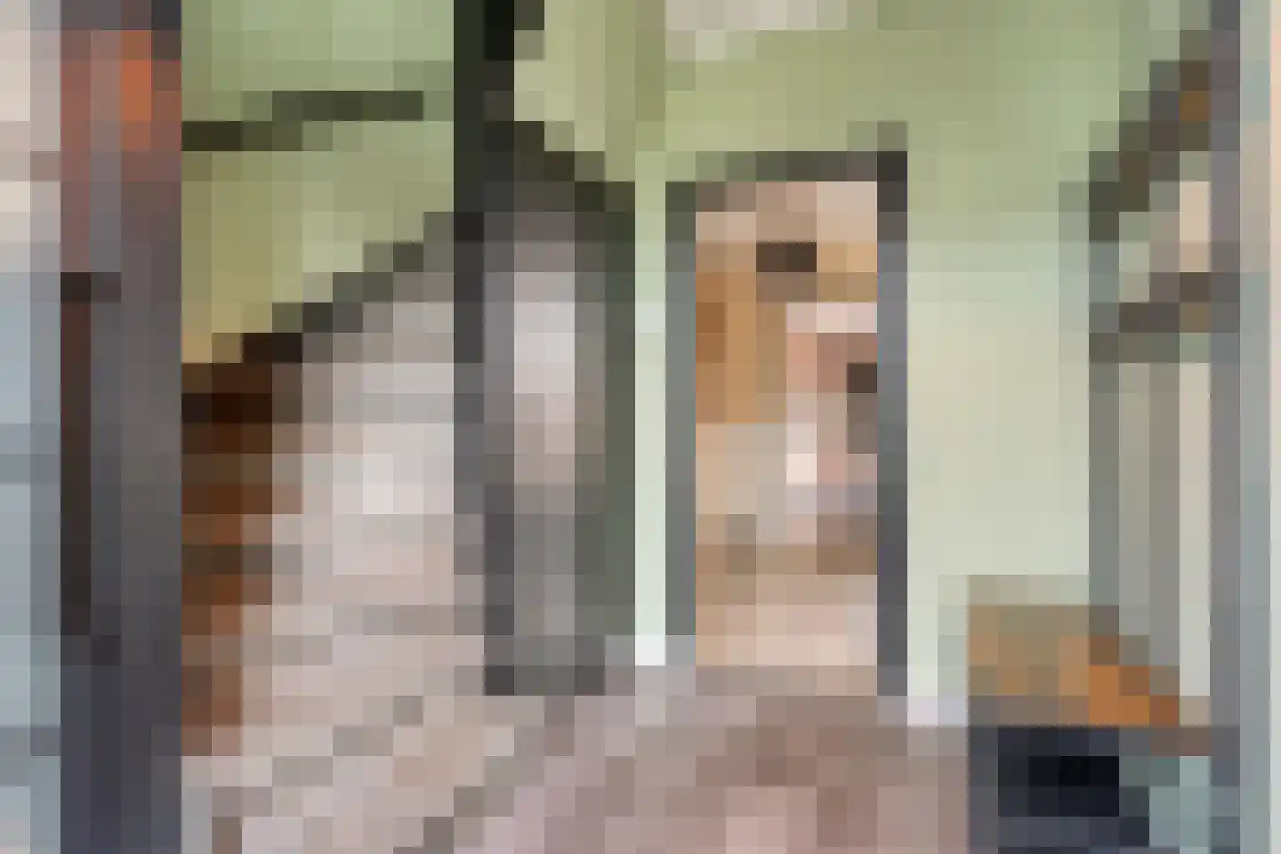 Pijnacker Hordijkstraat 2 Coevorden thumbnail 7