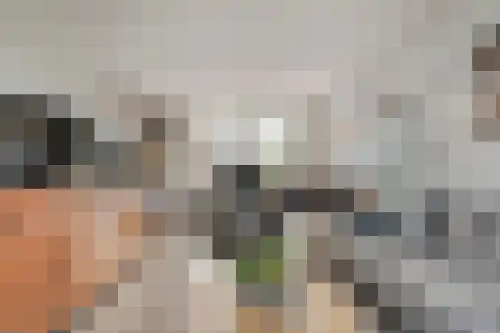 Pijnacker Hordijkstraat 2 Coevorden thumbnail 8