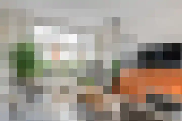 Pijnacker Hordijkstraat 2 Coevorden thumbnail 9