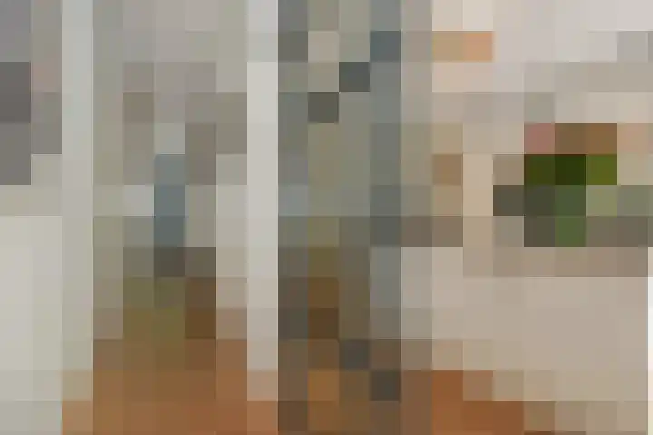 Pijnacker Hordijkstraat 2 Den Haag thumbnail 11