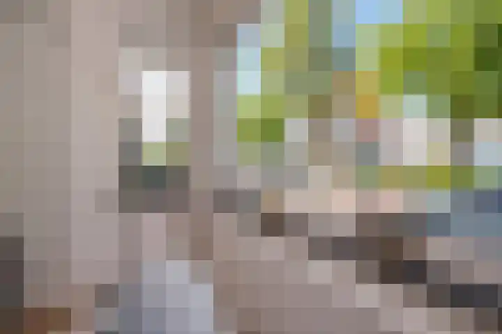 Pijnacker Hordijkstraat 2 Den Haag thumbnail 14