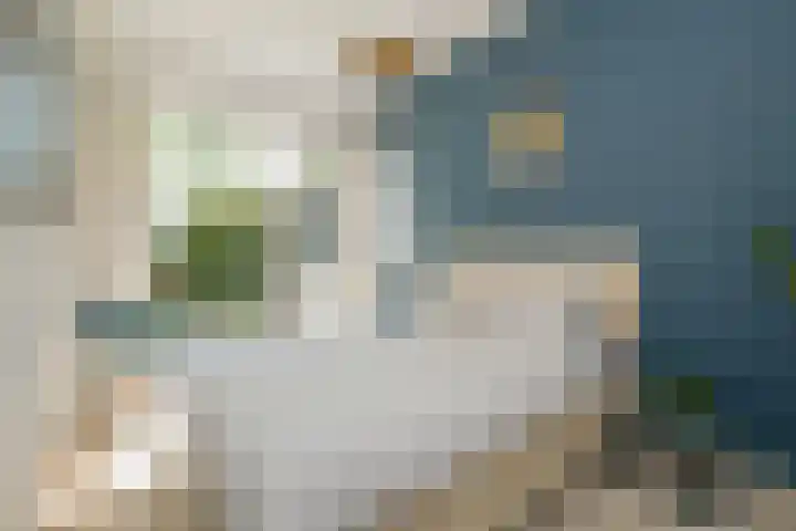 Pijnacker Hordijkstraat 2 Den Haag thumbnail 23