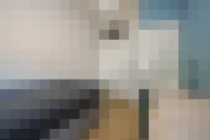 Pijnacker Hordijkstraat 2 Den Haag thumbnail 26