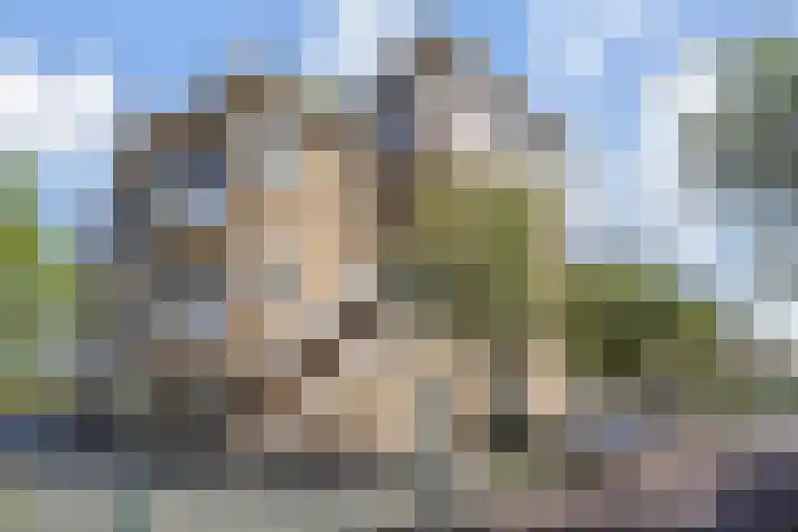 Pijnacker Hordijkstraat 2 Den Haag thumbnail 43