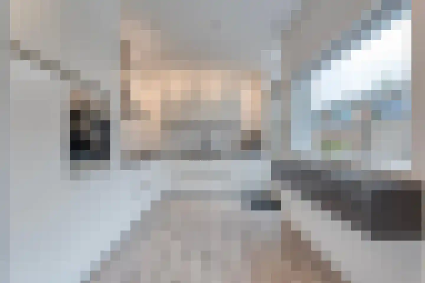 Pijnacker Hordijkstraat 23 Coevorden thumbnail 16