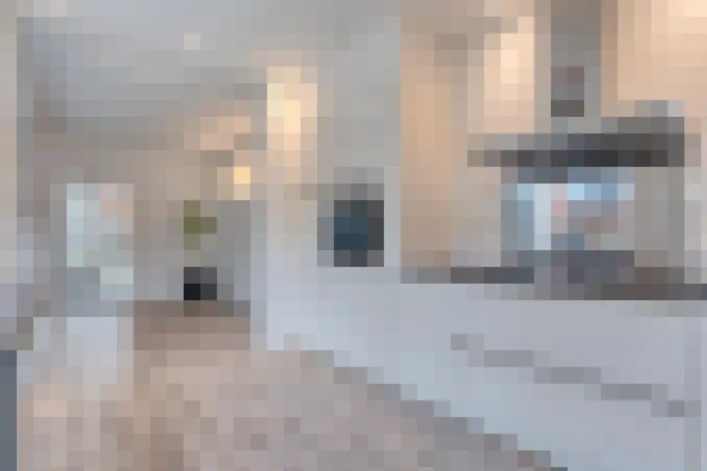 Pijnacker Hordijkstraat 23 Coevorden thumbnail 18
