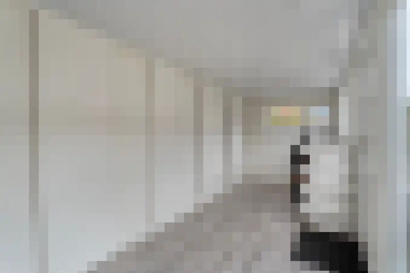 Pijnacker Hordijkstraat 23 Coevorden thumbnail 34