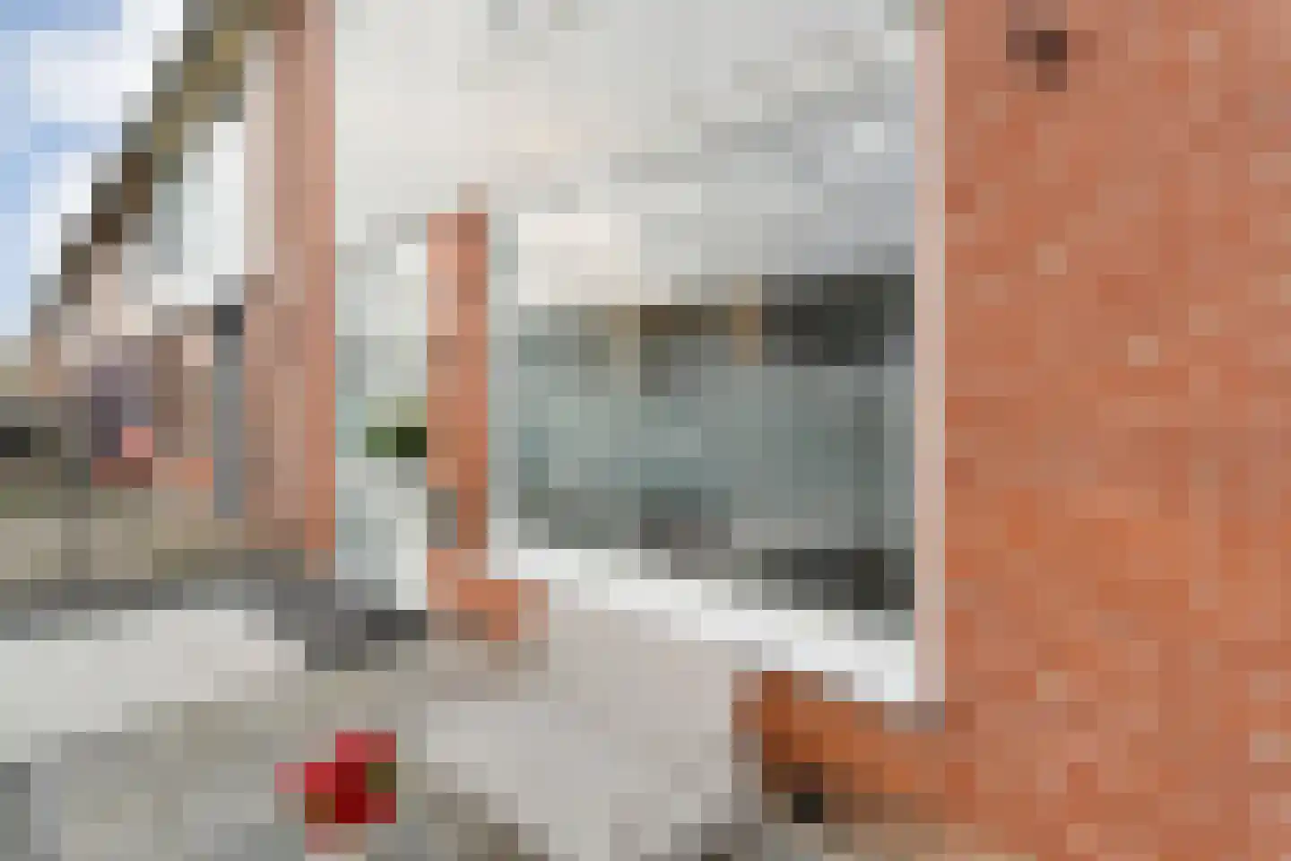 Pijnacker Hordijkstraat 23 Coevorden thumbnail 5