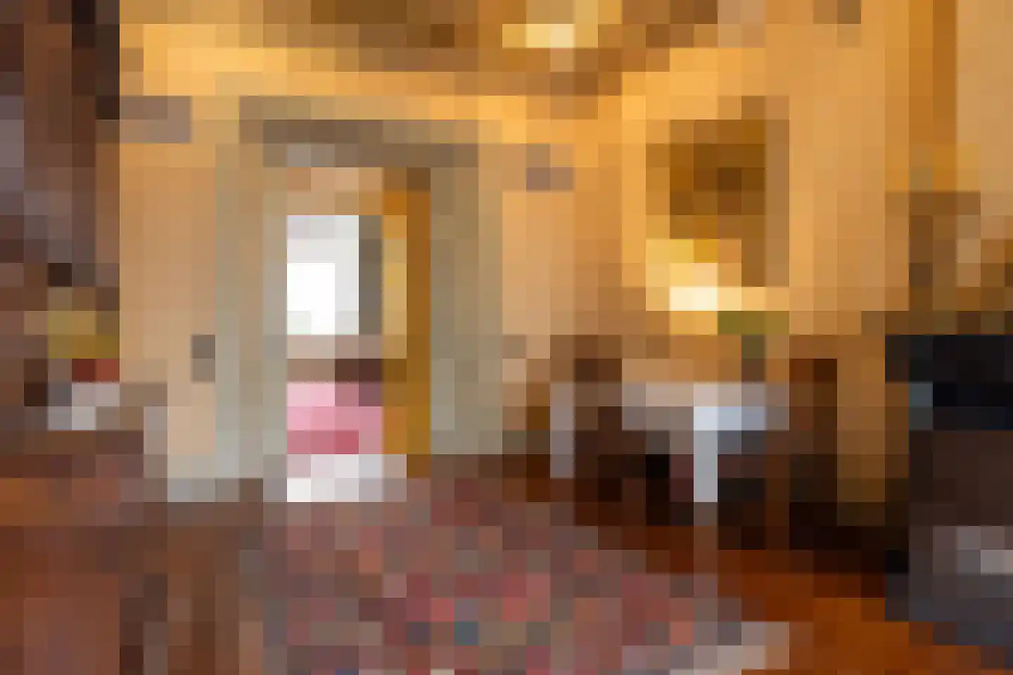 Pijnackerplein 24 B Rotterdam thumbnail 12
