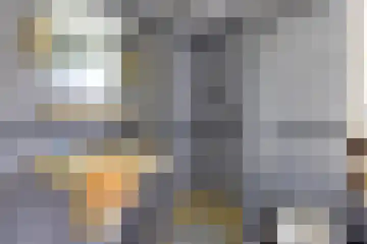 Pijnackerplein 24 B Rotterdam thumbnail 33