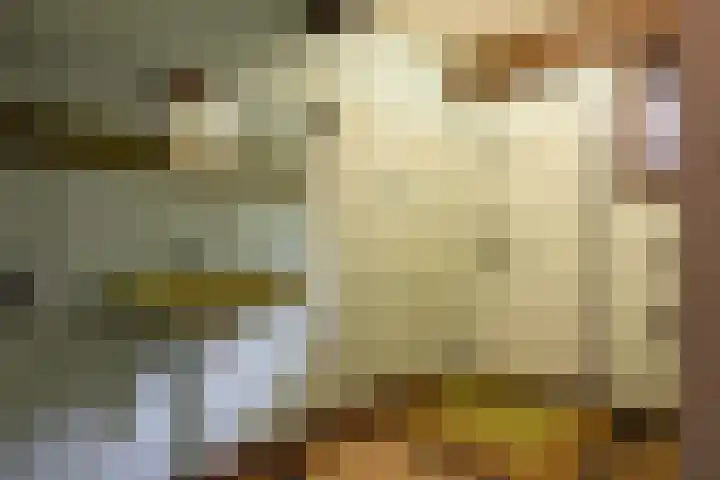 Pijnackerplein 24 B Rotterdam thumbnail 34