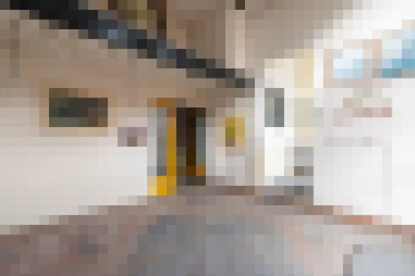 Pijnackerplein 24 B Rotterdam thumbnail 36