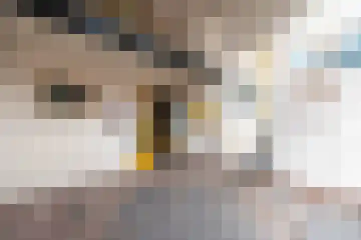 Pijnackerplein 24 B Rotterdam thumbnail 36