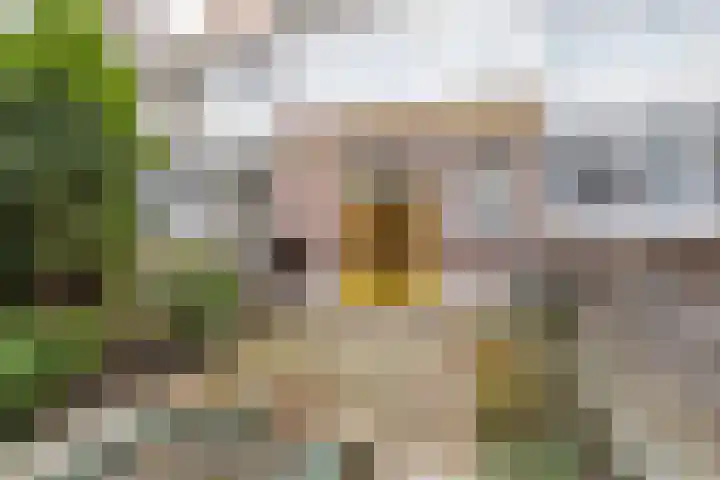 Pijnackerplein 24 B Rotterdam thumbnail 4
