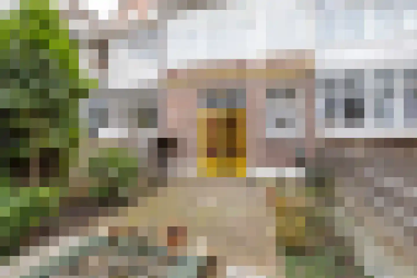 Pijnackerplein 24 B Rotterdam thumbnail 4