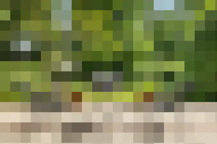 Pijnackerplein 24 B Rotterdam thumbnail 41