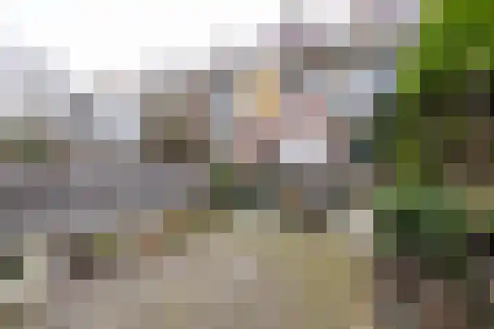 Pijnackerplein 24 B Rotterdam thumbnail 41