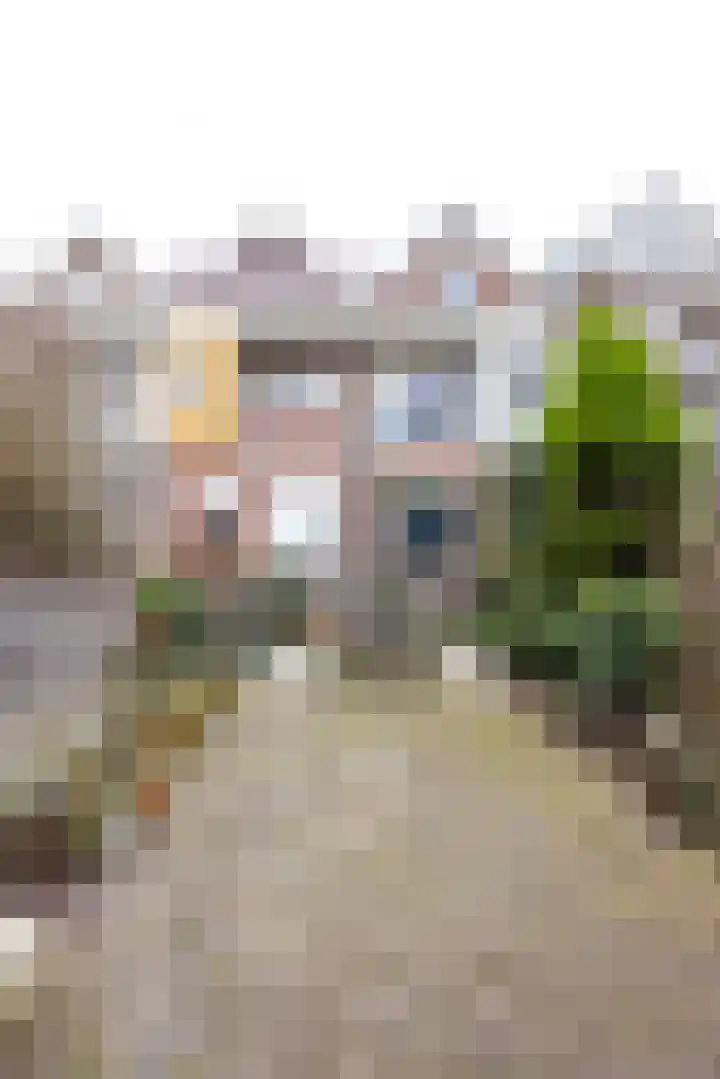 Pijnackerplein 24 B Rotterdam thumbnail 42