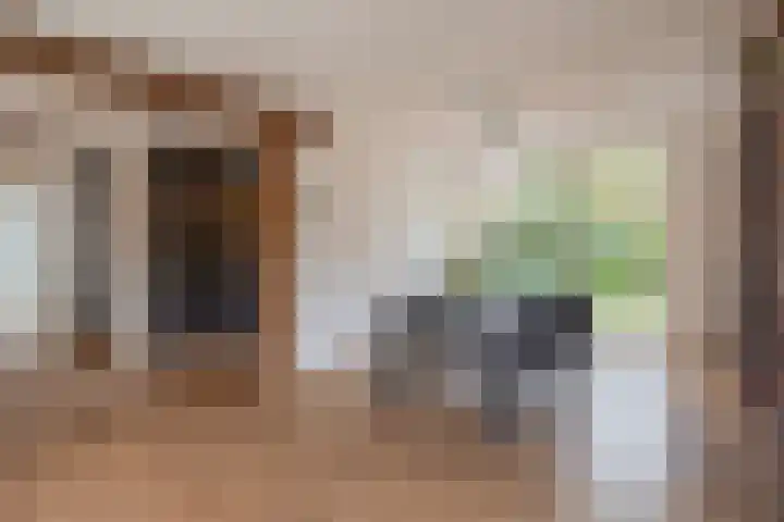 Pijnackerplein 24 B Rotterdam thumbnail 47