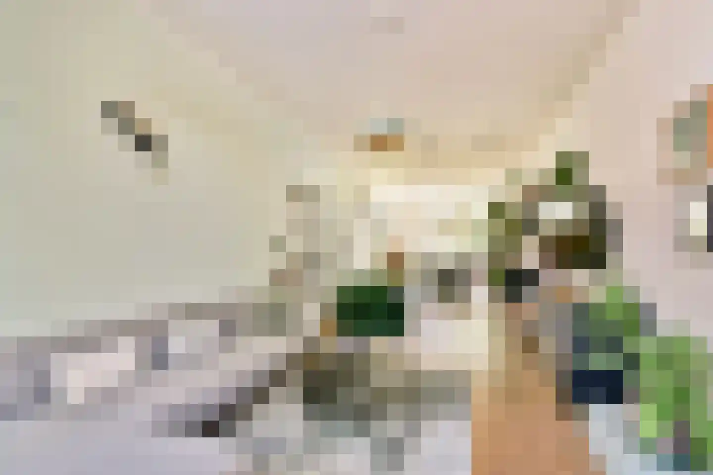 Pijnackerplein 26 Rotterdam thumbnail 15