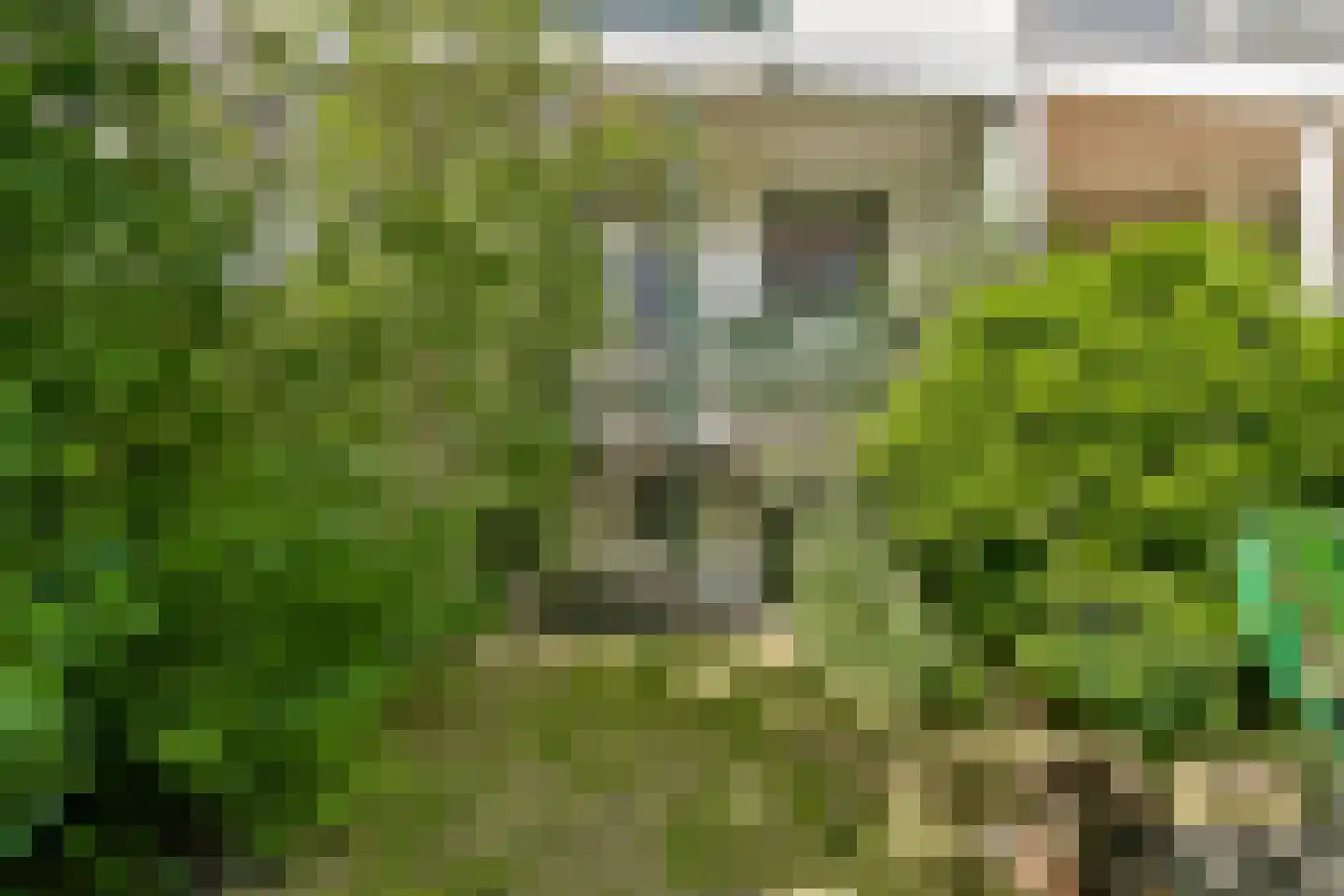 Pijnackerplein 26 Rotterdam thumbnail 18