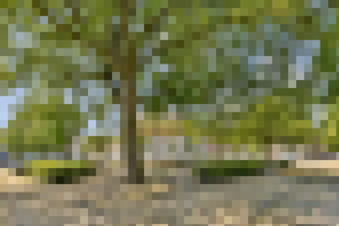 Pijnackerplein 26 Rotterdam thumbnail 32