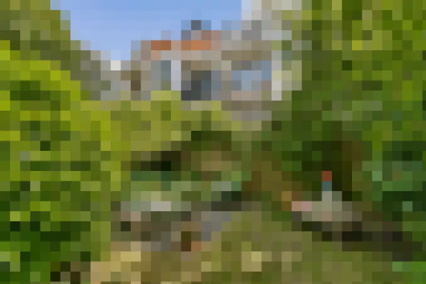 Pijnackerplein 26 Rotterdam thumbnail 6