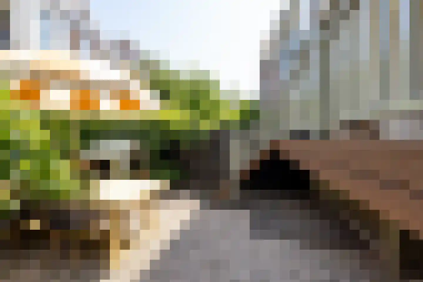 Pijnackerplein 27 Rotterdam thumbnail 5