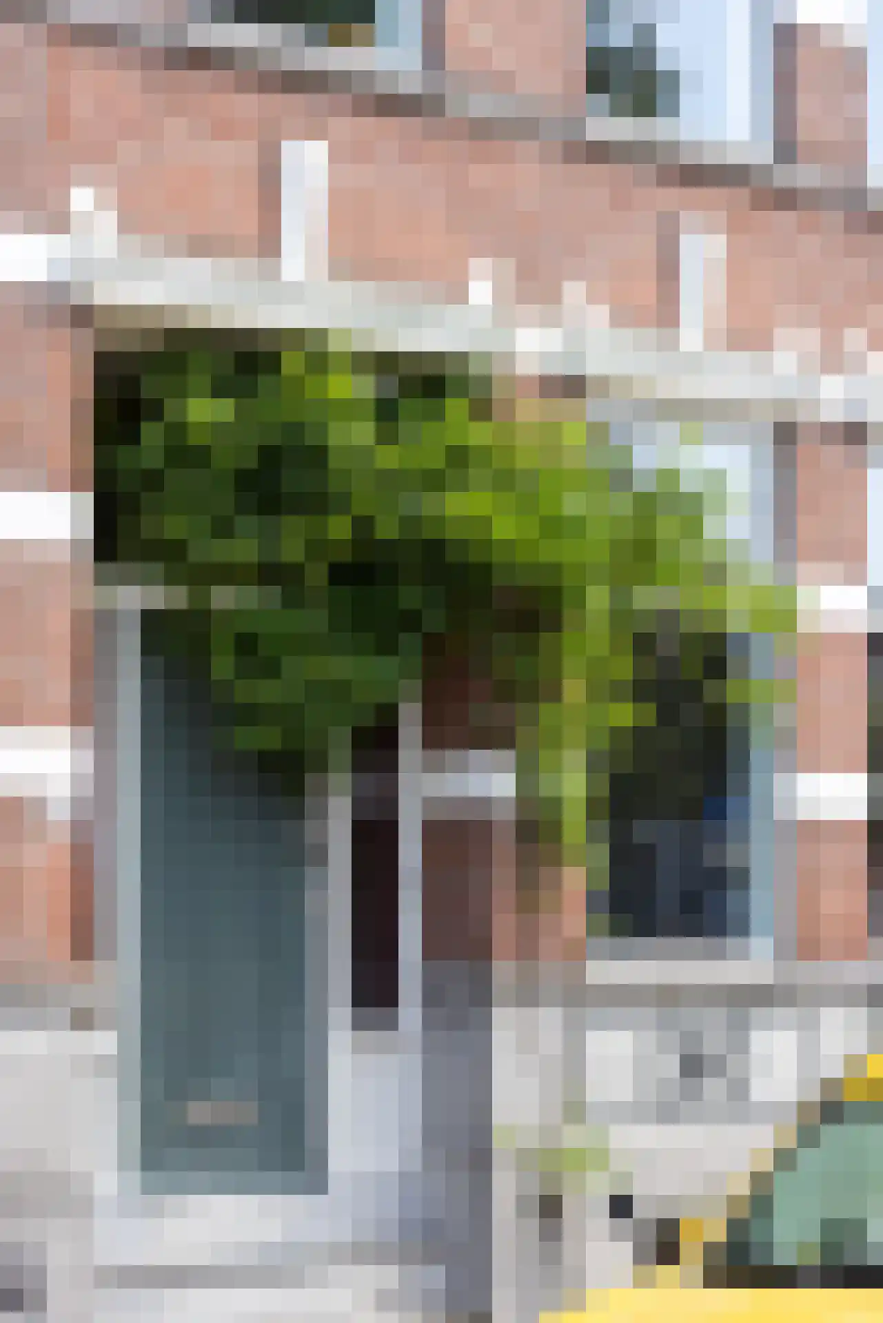 Pijnackerplein 27 Rotterdam thumbnail 7