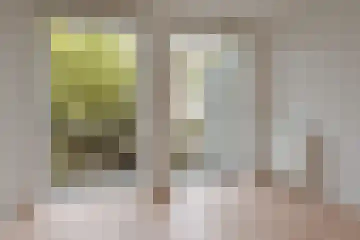 Pijnackerstraat 20 H Amsterdam thumbnail 13