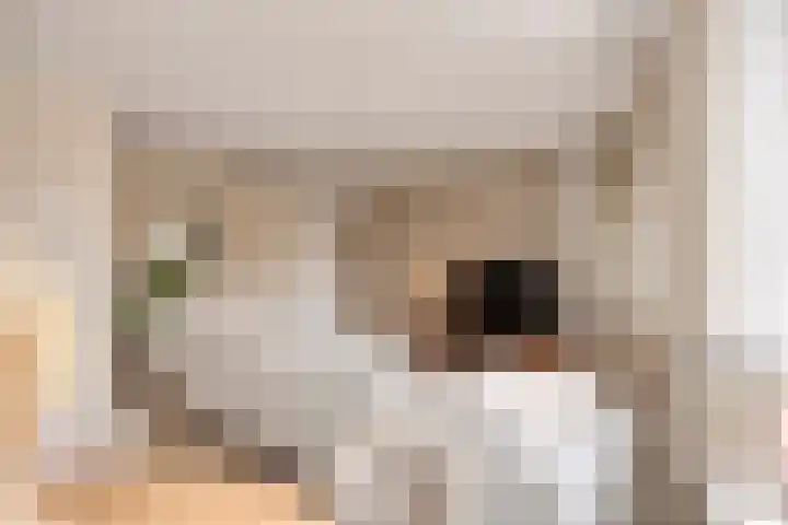 Pijnappelsche Poort 14 's-Hertogenbosch thumbnail 11