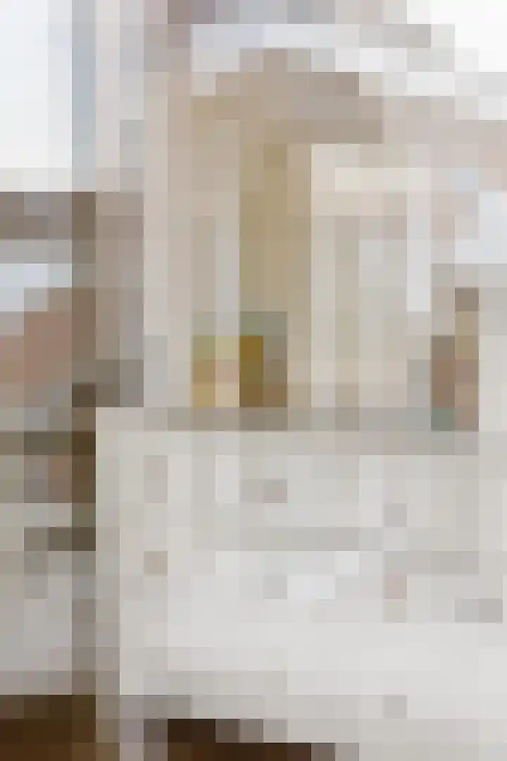 Pijnappelsche Poort 14 's-Hertogenbosch thumbnail 24